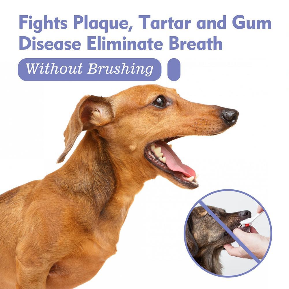 ⏰ Last day!!Buy 1 Get 1 Free🔥Pet Tooth Cleaning Spray