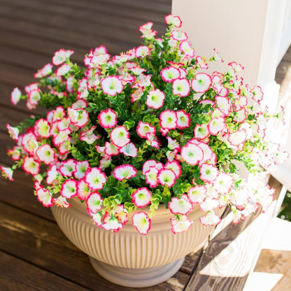 🌸 Spring/Summer Home Decor - 🌿 Artificial Silk Colored Morning Glory 12/stem