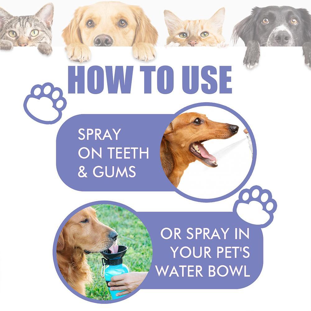 ⏰ Last day!!Buy 1 Get 1 Free🔥Pet Tooth Cleaning Spray