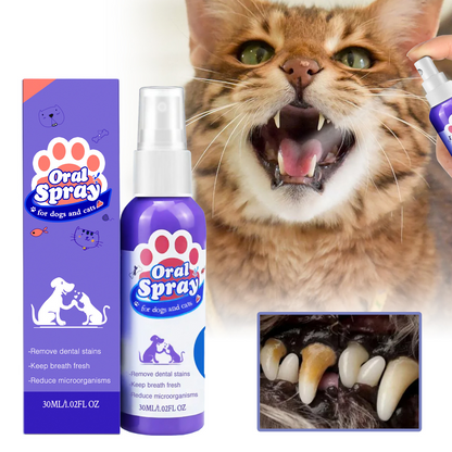 ⏰ Last day!!Buy 1 Get 1 Free🔥Pet Tooth Cleaning Spray
