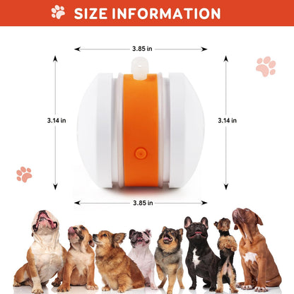 🔥50% OFF🐶Smart Sports Pet Ball - Plush Companion
