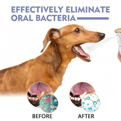 ⏰ Last day!!Buy 1 Get 1 Free🔥Pet Tooth Cleaning Spray