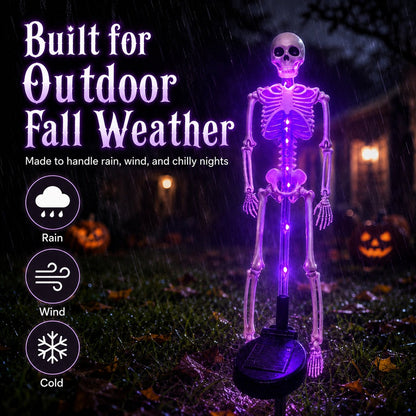 💀 Last Day 50% OFF – Solar Skull Garden Lights with Eerie Color-Changing Glow
