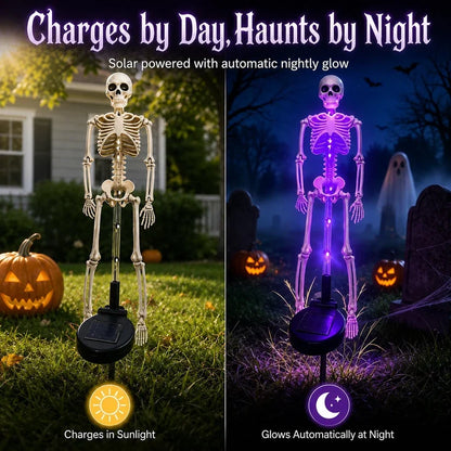 💀 Last Day 50% OFF – Solar Skull Garden Lights with Eerie Color-Changing Glow