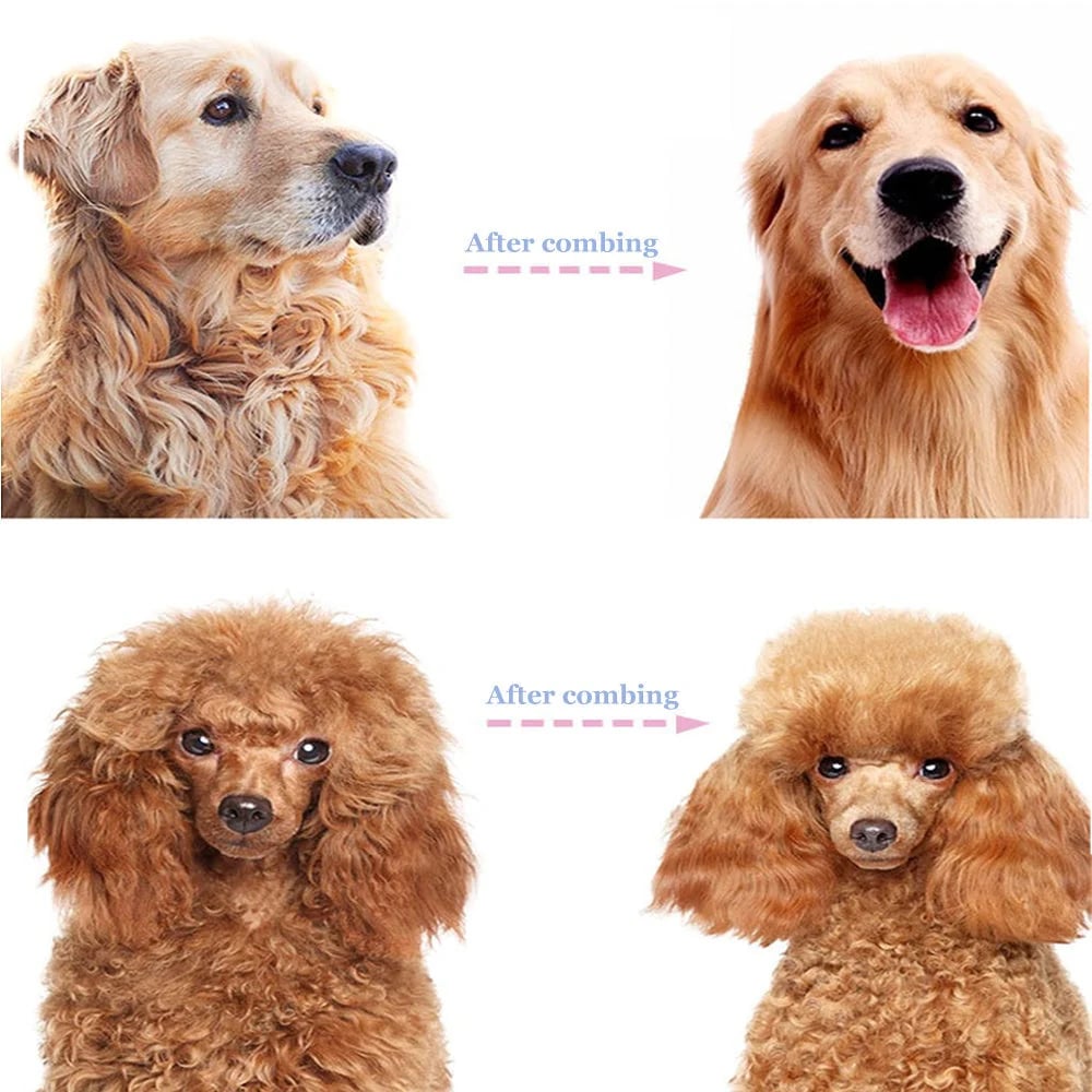 🏆 Professional Detangling Tool For Dogs And Cats – Gentle On Skin✂️🔥