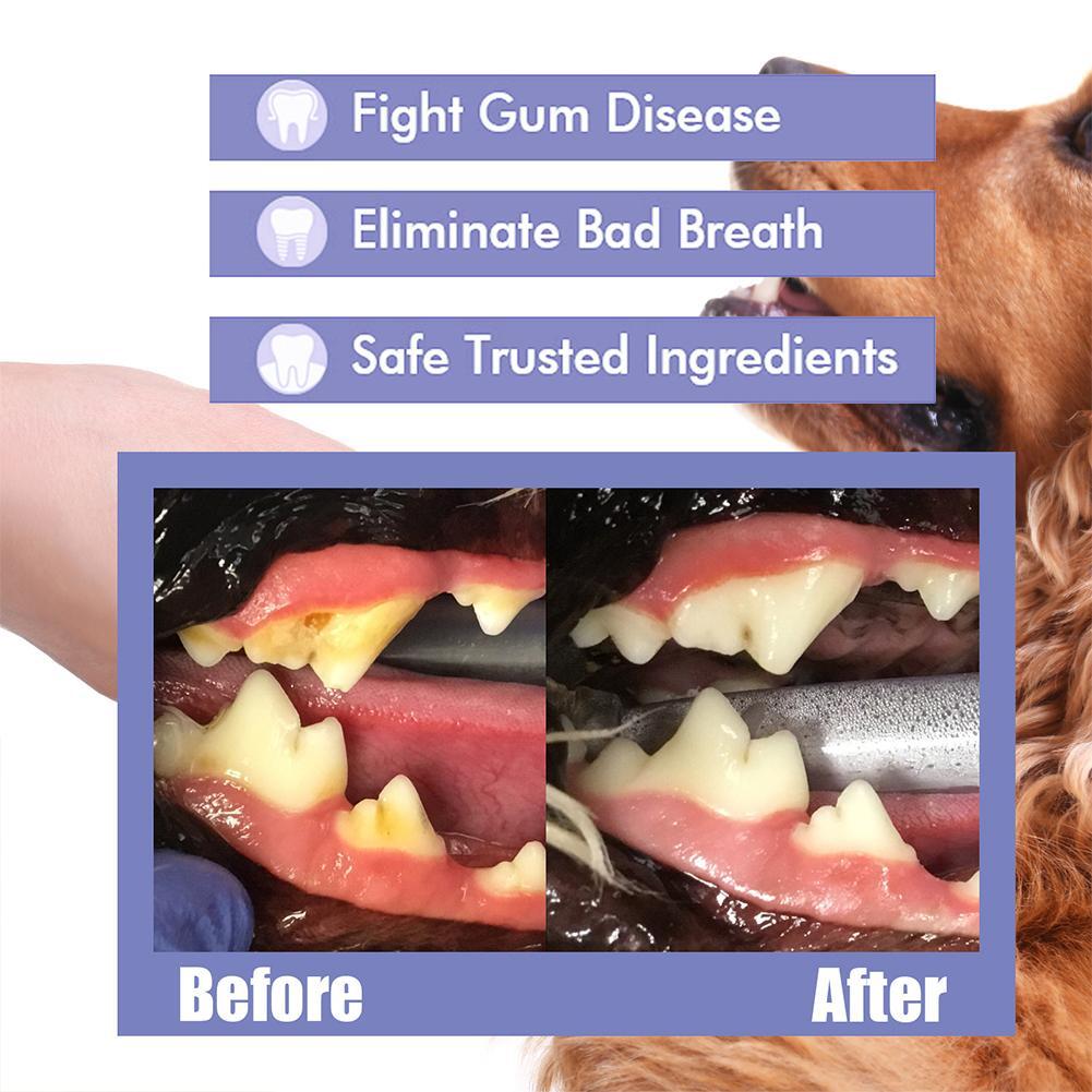 ⏰ Last day!!Buy 1 Get 1 Free🔥Pet Tooth Cleaning Spray