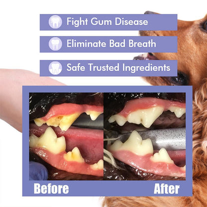 ⏰ Last day!!Buy 1 Get 1 Free🔥Pet Tooth Cleaning Spray