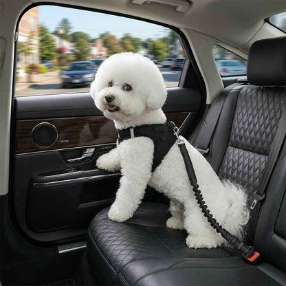 🐾 Sick of uncomfortable travel gear for your pup? This belt changes everything!