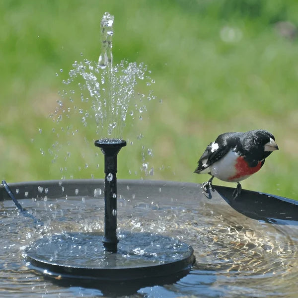 Solar fountain in a decorative garden birdbath
